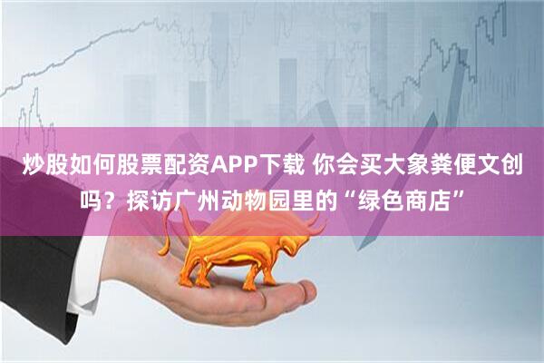 炒股如何股票配资APP下载 你会买大象粪便文创吗？探访广州动物园里的“绿色商店”