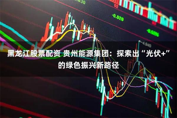 黑龙江股票配资 贵州能源集团：探索出“光伏+”的绿色振兴新路径
