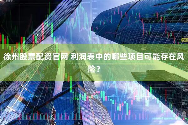 徐州股票配资官网 利润表中的哪些项目可能存在风险？